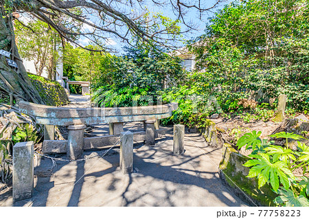 黒神埋没鳥居 鹿児島県鹿児島市 黒神埋没鳥居 鹿児島県鹿児島市 77758223