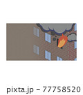 fire 77758520