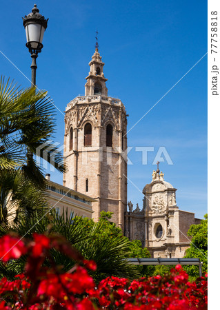 The Valencia Cathedral church building and Placa Reina with flowers 77758818