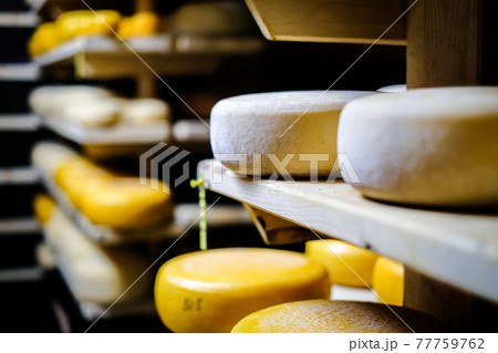 Cheese production. Hard cheeses. Italian style cheese heads on wooden shelves. Defocused Cheese production. Hard cheeses. Italian style cheese heads on wooden shelves. Defocused 77759762