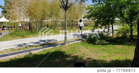 Holiday promenade at Wangsong Lake in Uiwang-si Holiday promenade at Wangsong Lake in Uiwang-si 77760873