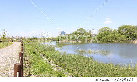 Wide scenery of Wangsong Lake in the suburbs of Uiwang City 77760874
