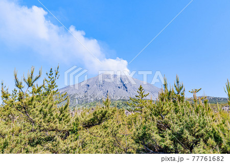 有村溶岩展望所から見た桜島　鹿児島県鹿児島市 77761682