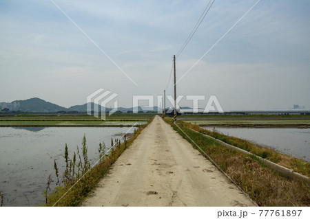 風景 ノン 田畑 77761897