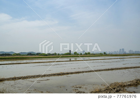 ノン 空 田畑 77761976