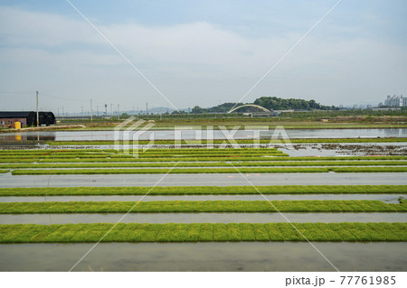 風景 ノン 田畑 77761985