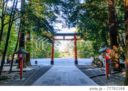 霧島神宮　鹿児島県霧島市 77762168