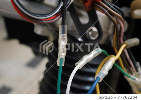 バイクの電気配線 カシメ 77762204