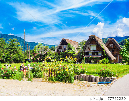 日本の原風景 夏の白川郷 日本の原風景 夏の白川郷 77762220
