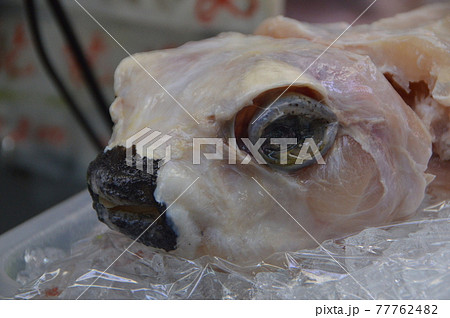 ハリセンボン（第一牧志公設市場／沖縄県那覇市） 77762482