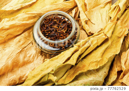 Smoking pipe with tobacco leaves Smoking pipe with tobacco leaves 77762529