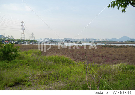景色 風景 海 77763344