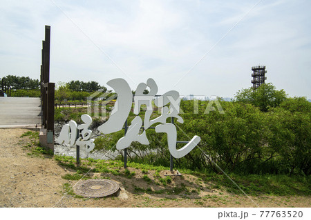 公園 葦 夏 77763520