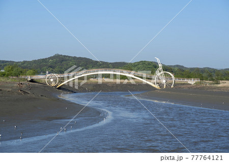 風景 公園 夏 77764121