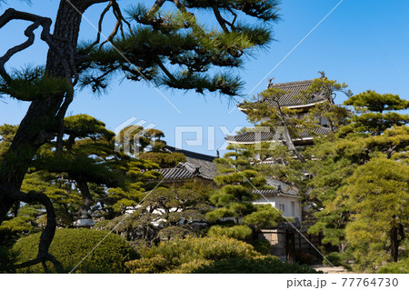 【史跡高松城跡 玉藻公園】松と月見櫓 【史跡高松城跡 玉藻公園】松と月見櫓 77764730
