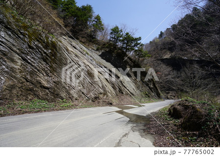 長野県　信州鬼無里から奥裾花自然園に向かう道が通る奥裾花渓谷を流れる裾花川にあるケスタ地形近くの岸壁 77765002