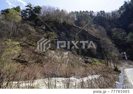 長野県 信州鬼無里から奥裾花自然園に向かう道が通る奥裾花渓谷を流れる裾花川にあるケスタ地形近くの岸壁 長野県 信州鬼無里から奥裾花自然園に向かう道が通る奥裾花渓谷を流れる裾花川にあるケスタ地形近くの岸壁 77765005