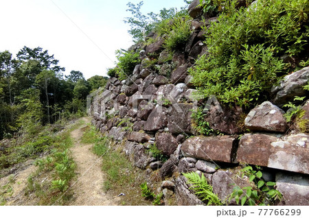 藤堂高虎による天空の城 赤木城跡 藤堂高虎による天空の城 赤木城跡 77766299