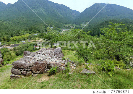 築城の名手　藤堂高虎による平山城　赤木城跡 77766375