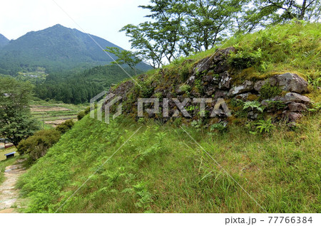 築城の名手 藤堂高虎による平山城 赤木城跡 築城の名手 藤堂高虎による平山城 赤木城跡 77766384