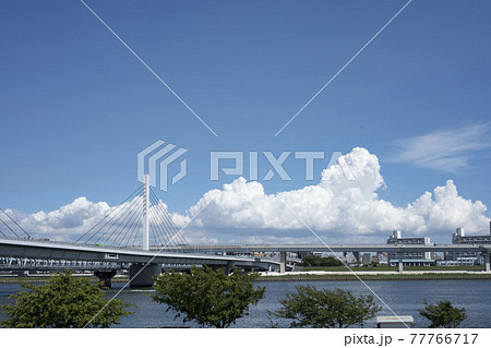 江東区と江戸川区にまたがる荒川河川　夏の青空 77766717