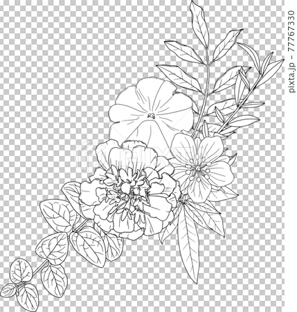 モノクロの花と葉っぱの繊細な装飾　ベクター素材 77767330