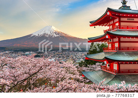 Fujiyoshida, Japan at Chureito Pagoda and Mt. Fuji in the Spring 77768317