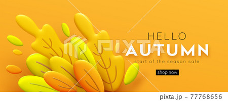 Hello Autumn 3d minimal background with autumn yellow, orange leaves. 3d Fall leaves background for the design of Fall banners, posters, advertisements, cards, sales. Vector illustration 77768656