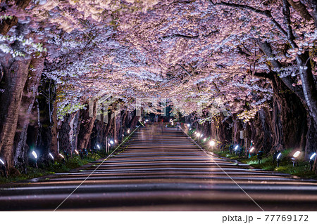 北海道 函館 松前藩戸切地 横 北海道 函館 松前藩戸切地 横 77769172