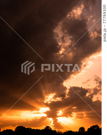ダイナミックな夕焼けの景色 ダイナミックな夕焼けの景色 77769300