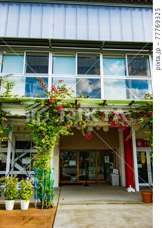 千葉県安房郡鋸南町にある廃校になった小学校を改装した道の駅保田小学校の風景 千葉県安房郡鋸南町にある廃校になった小学校を改装した道の駅保田小学校の風景 77769325