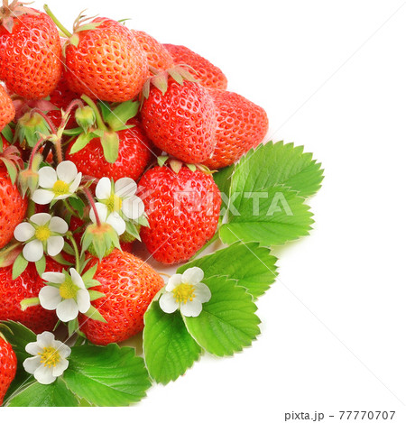 juicy strawberries isolated on a white background. 77770707
