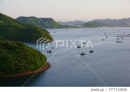 徳島県鳴門市 堀越橋から大毛島と内海に浮かぶ筏を望む 徳島県鳴門市 堀越橋から大毛島と内海に浮かぶ筏を望む 77771008
