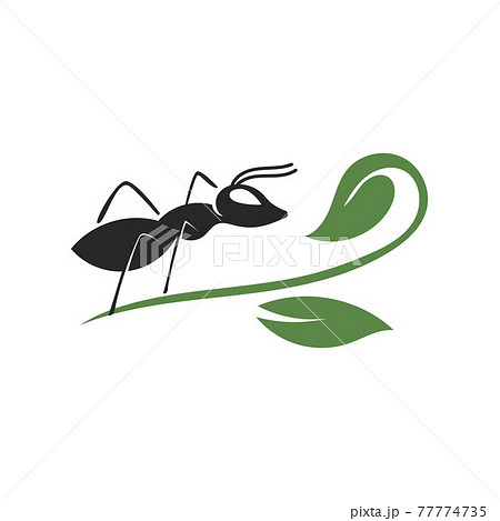 Ant vector illustration design Ant vector illustration design 77774735