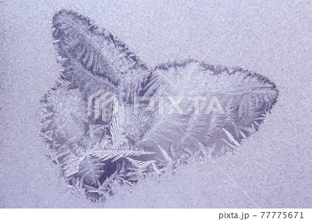 ice patterns on frozen window 77775671