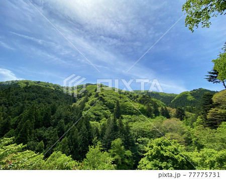 新緑の夏山 77775731