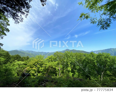 夏の空と里山 夏の空と里山 77775834