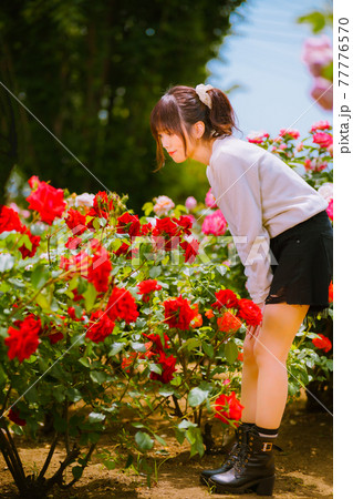 赤い薔薇を見つめるかわいい女子 赤い薔薇を見つめるかわいい女子 77776570