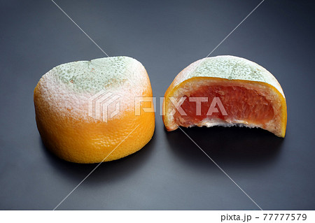cut the rotting grapefruit on a dark background. 77777579