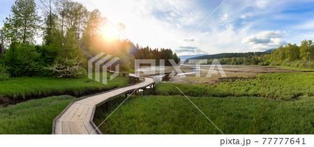 Shoreline Trail, Port Moody, Greater Vancouver, British Columbia, Canada 77777641