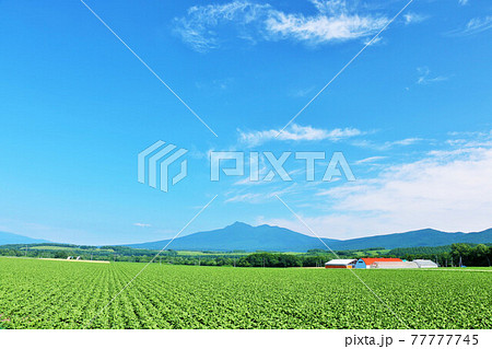 北海道　夏の青空と斜里岳 77777745