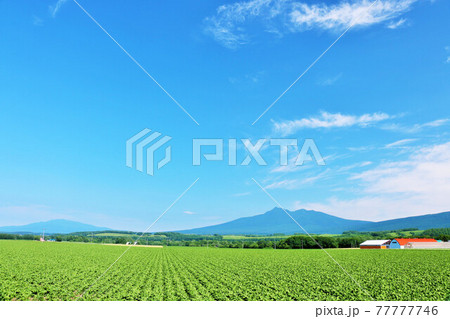 北海道　夏の青空と斜里岳 77777746