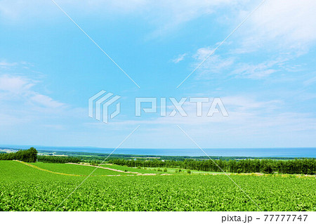 北海道　爽やかな青空とオホーツク海　長閑な田舎風景 77777747
