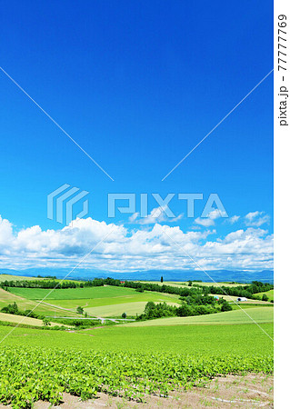 北海道　爽やかな青空と美瑛の風景 77777769