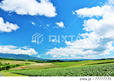 北海道　爽やかな青空と美瑛の風景 77777770