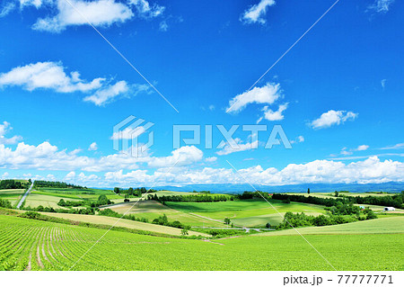 北海道　爽やかな青空と美瑛の風景 77777771