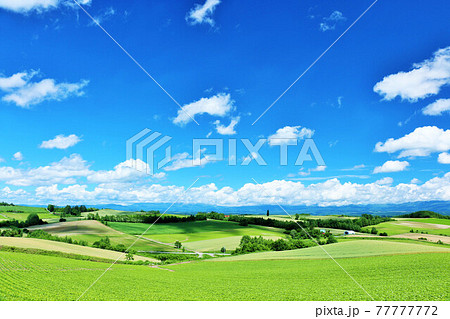 北海道　爽やかな青空と美瑛の風景 77777772
