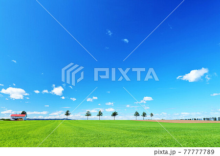 北海道　青空のメルヘンの丘 77777789