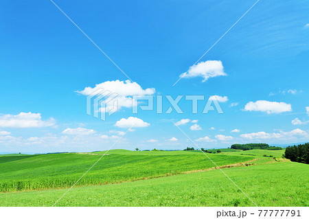 北海道　夏の青空と美瑛の風景 77777791