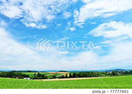 北海道　夏の青空と美瑛の風景 77777801